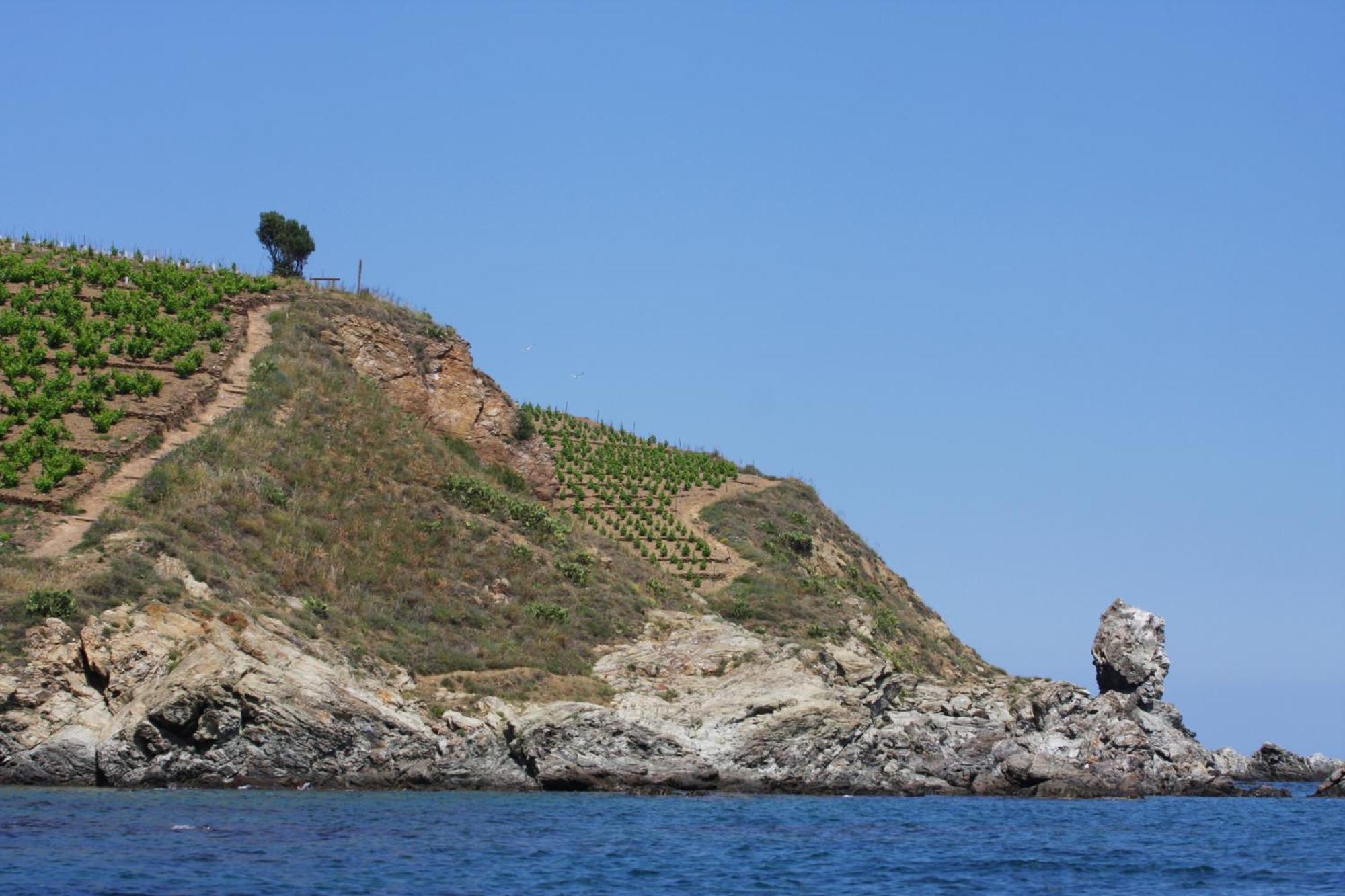 Logis Hotel Solhotel Banyuls-sur-Mer Εξωτερικό φωτογραφία