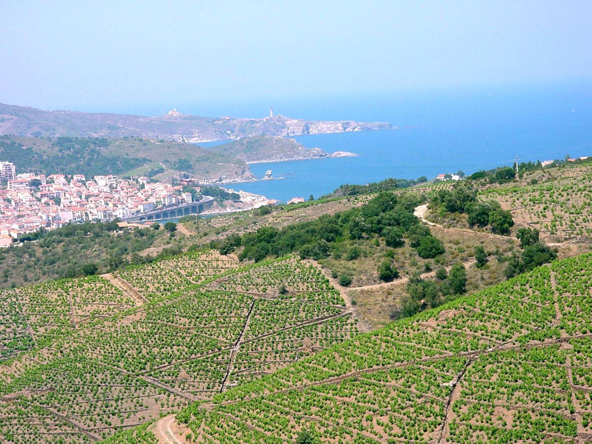 Logis Hotel Solhotel Banyuls-sur-Mer Εξωτερικό φωτογραφία