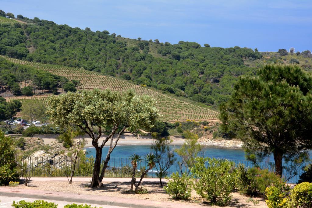 Logis Hotel Solhotel Banyuls-sur-Mer Εξωτερικό φωτογραφία