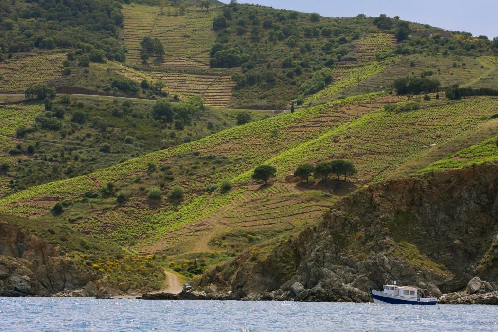 Logis Hotel Solhotel Banyuls-sur-Mer Εξωτερικό φωτογραφία